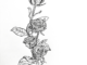 ♡Xpfm – .Bloom//Fade (Album)