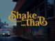 Patoranking – Shake That Ft. Ruger
