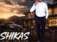 Dlamini Shikas Mshikashika Udelunina artwork