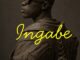 JL SA Ingabe artwork