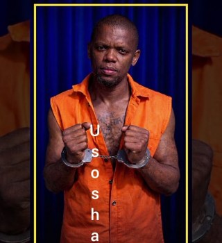 Nhlanhla Mhlongo Usosha artwork