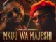 Young Lunya Mkuu Wa Majeshi Ft. Harmonize 768x768.jpg