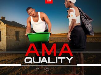 Ama Quality Njengethoyizi Mp3 Download